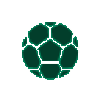 里尔队标